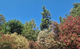 Camping Pitagora